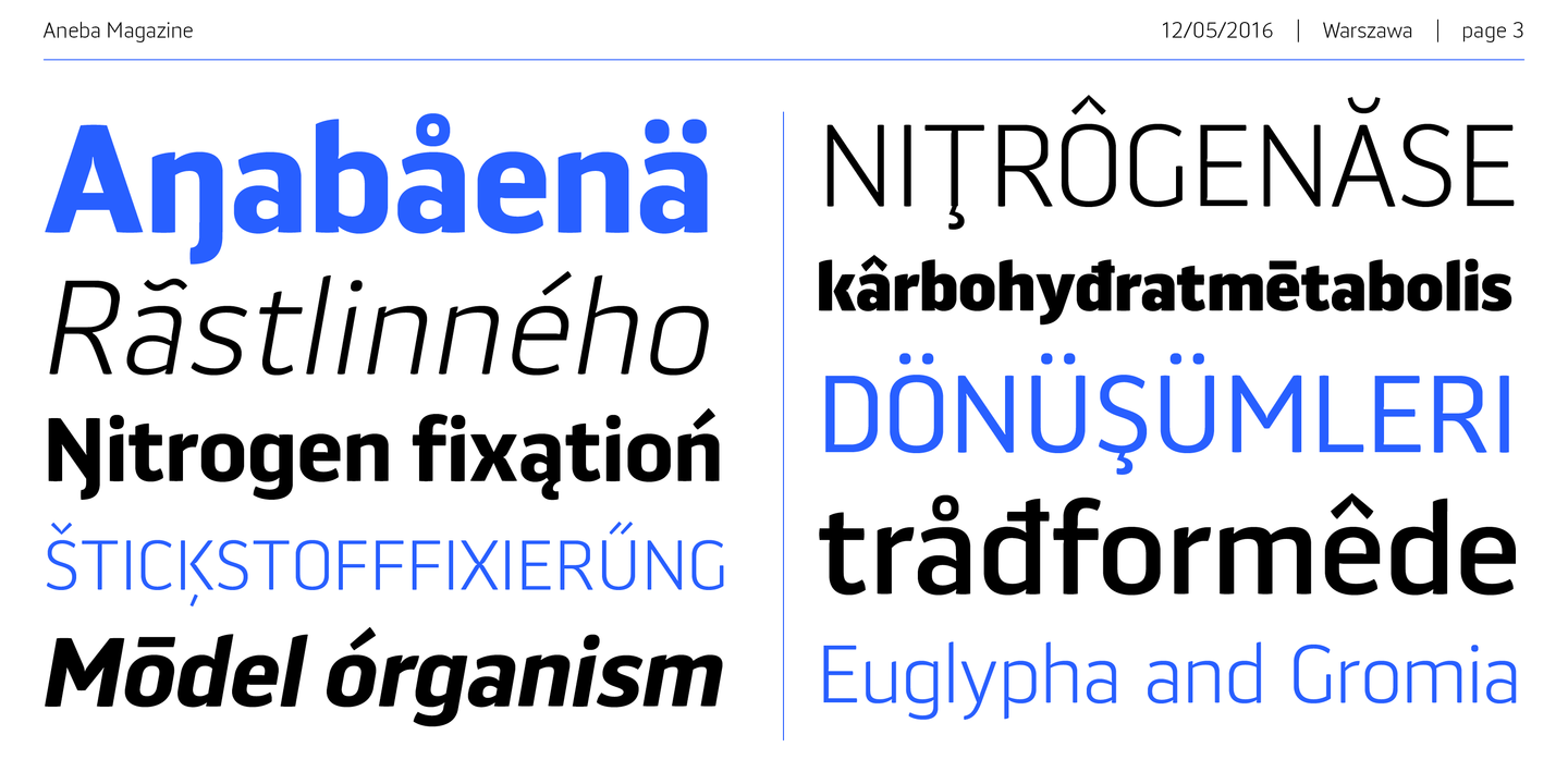 Aneba Neue Medium Font preview
